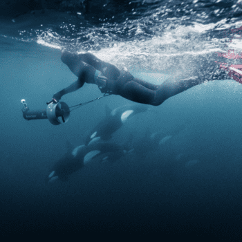 Live From Norway – Late Expedition